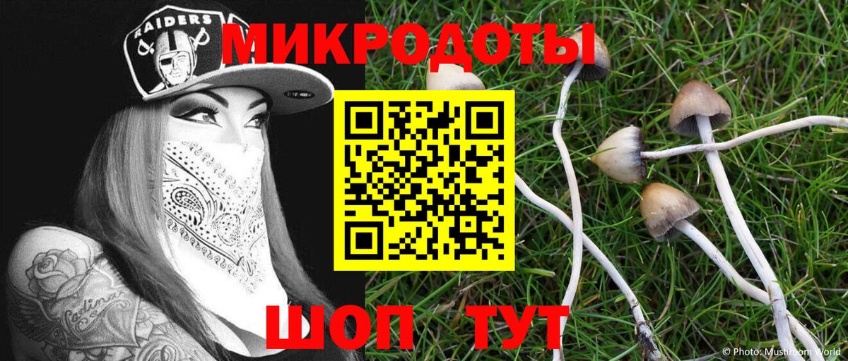 Балахна  Псилоцибиновые грибы Psilocybine cubensis  Вход с VPN 