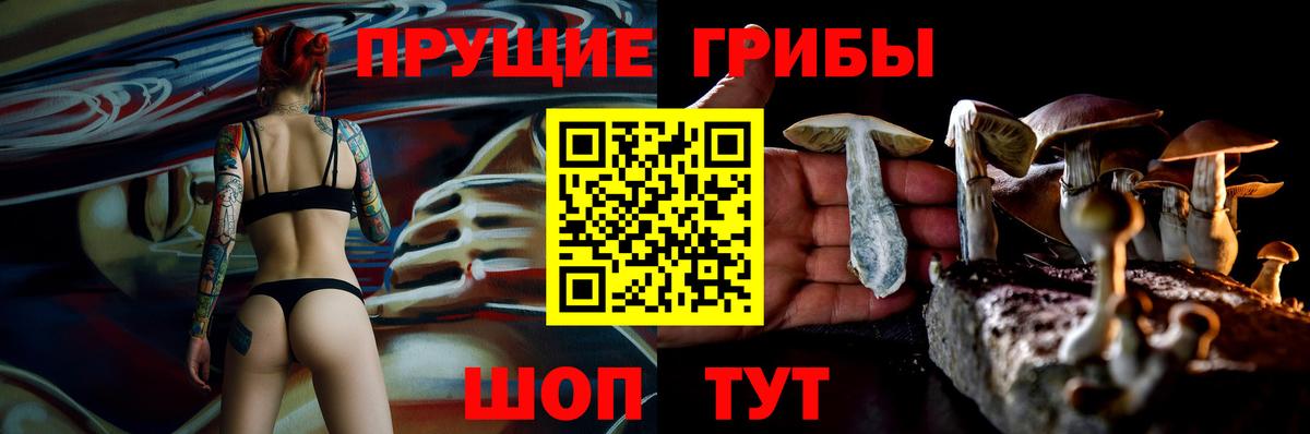Псилоцибиновые грибы прущие грибы Балахна